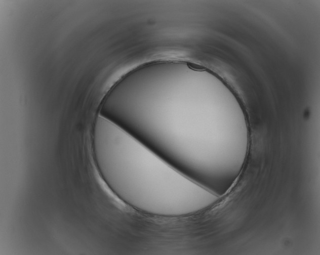 X0000093731432200710160803