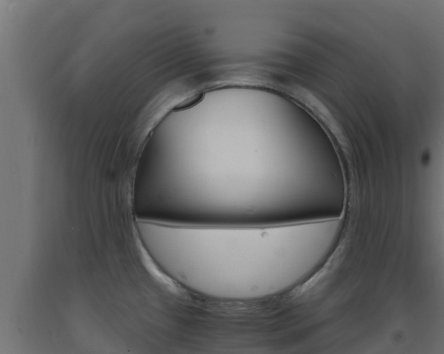 X0000093731433200710160803