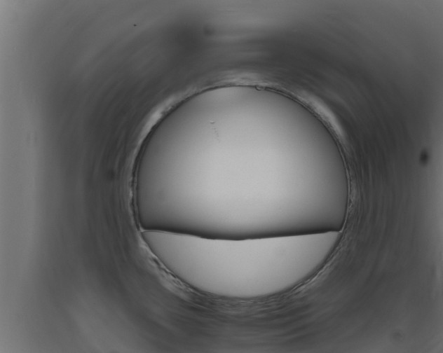 X0000093731435200710160803