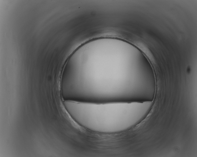 X0000093731436200710160803