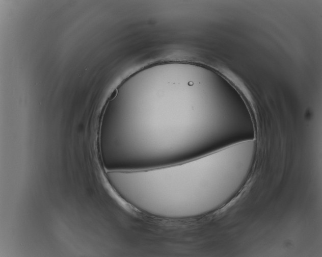 X0000093731437200710160803
