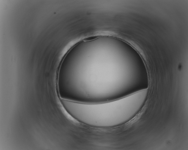 X0000093731438200710160803