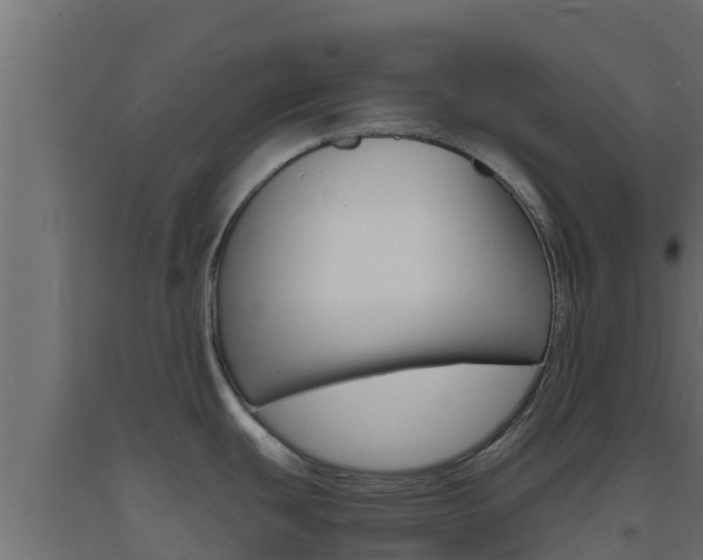 X0000093731439200710160803