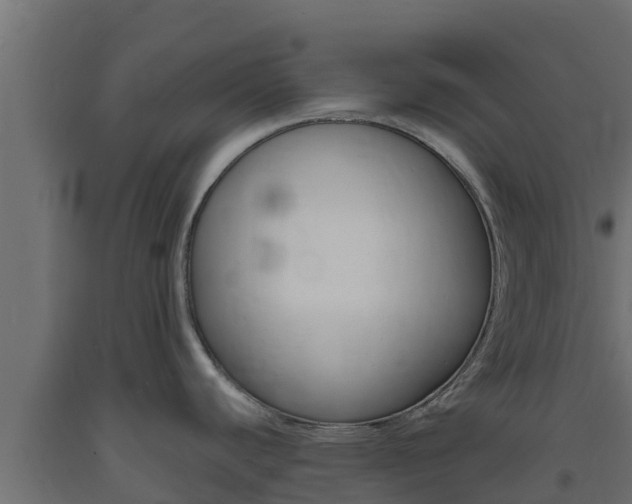 X0000093731440200710160803
