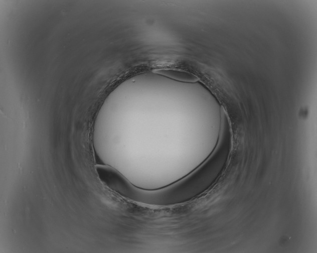 X0000093731441200710160803