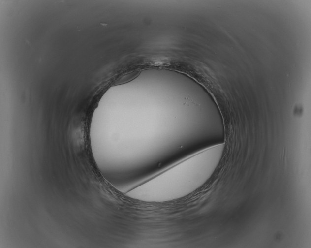 X0000093731442200710160803