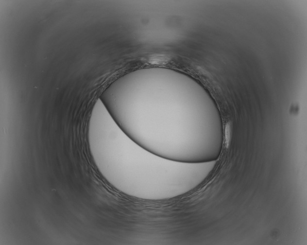 X0000093731443200710160803