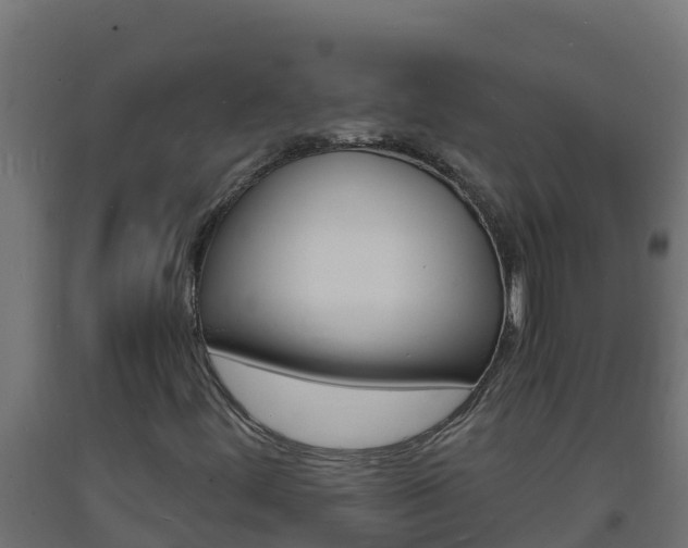 X0000093731444200710160803