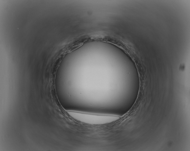 X0000093731445200710160803