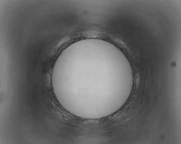 X0000093731446200710160803
