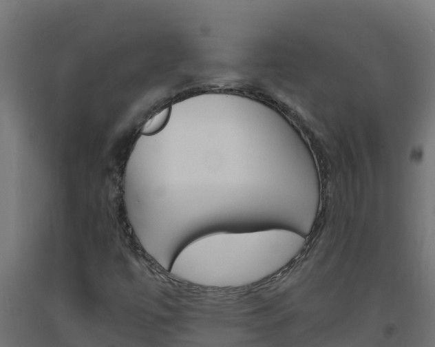 X0000093731447200710160802