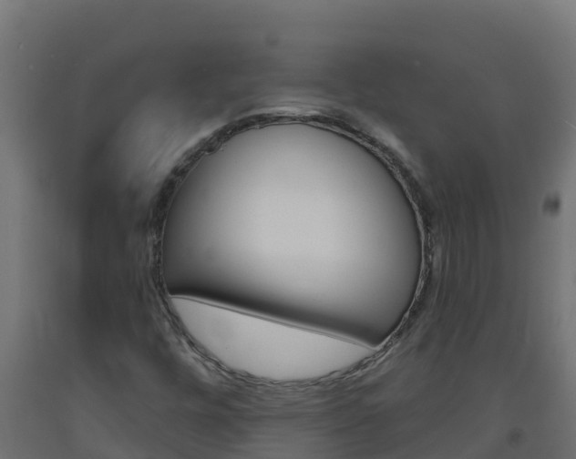 X0000093731448200710160802