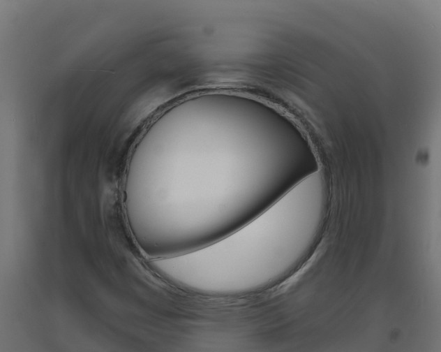X0000093731449200710160802