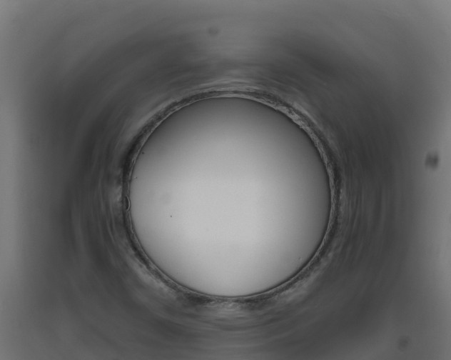 X0000093731450200710160802