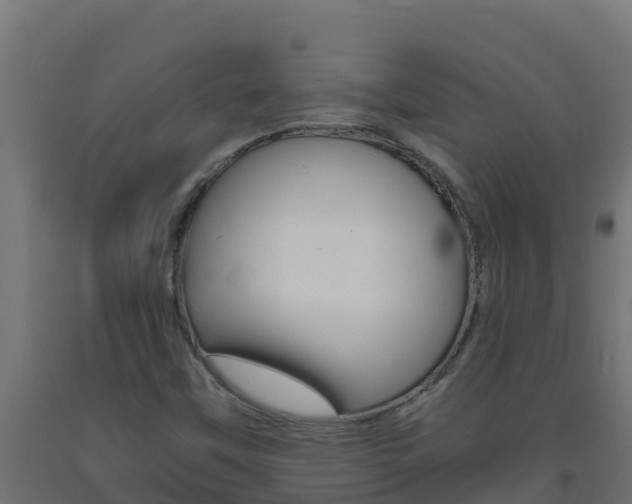 X0000093731451200710160802