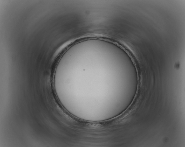 X0000093731452200710160802