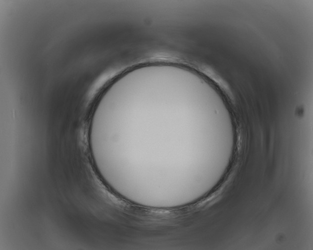 X0000093731454200710160802