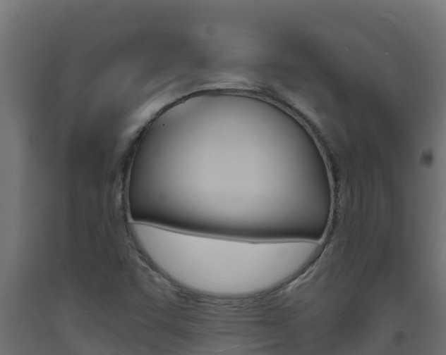 X0000093731455200710160802