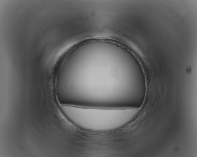 X0000093731456200710160802