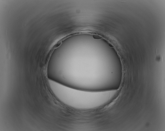 X0000093731457200710160802