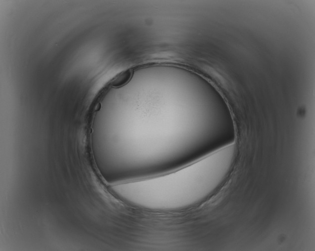 X0000093731458200710160802