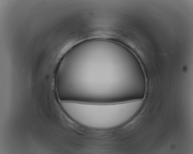X0000093731459200710160802