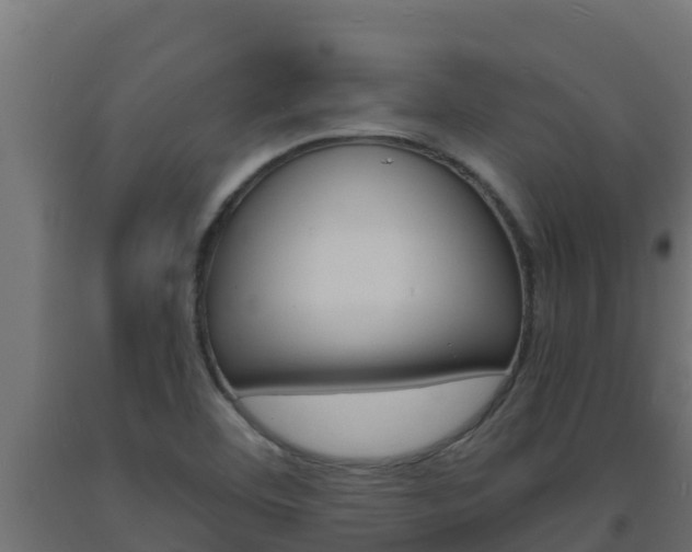 X0000093731460200710160802