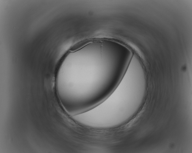 X0000093731461200710160802