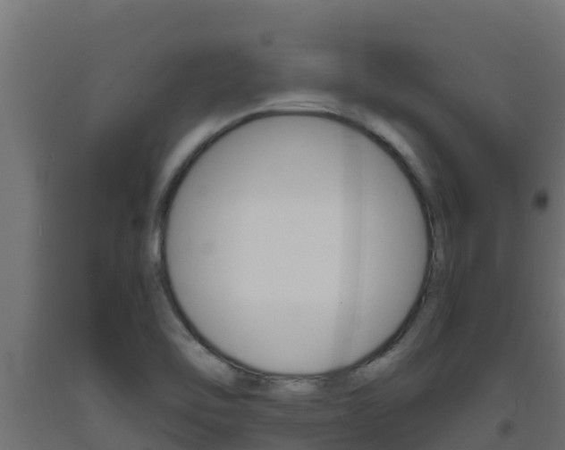 X0000093731462200710160802