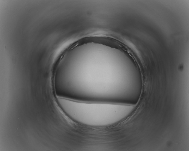 X0000093731464200710160802