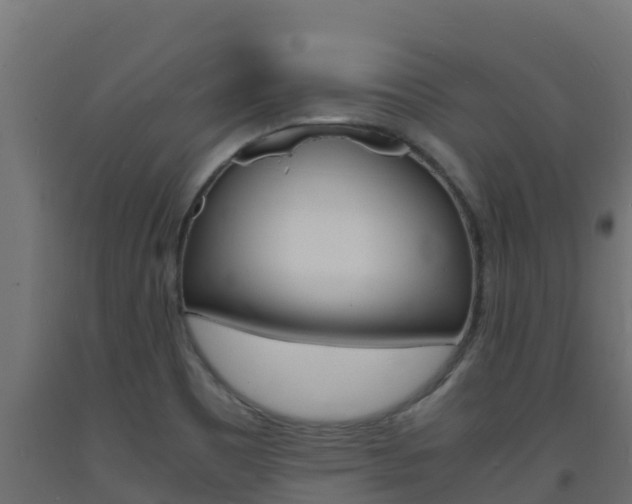 X0000093731465200710160802