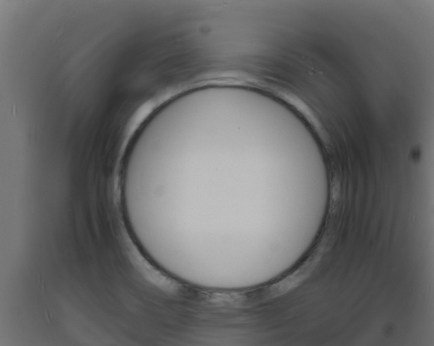 X0000093731466200710160802