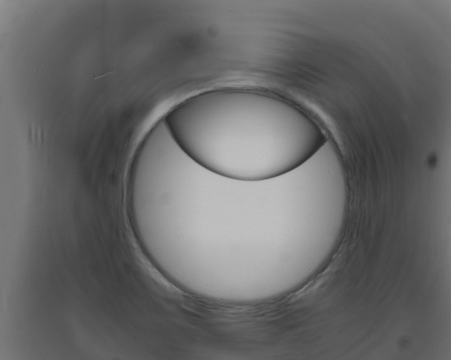 X0000093731467200710160802