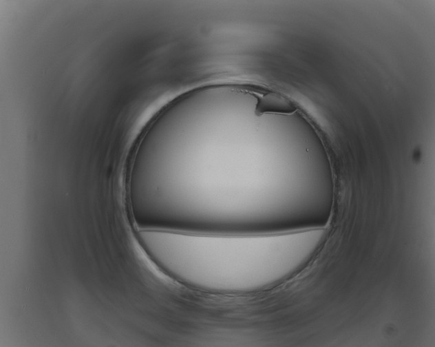 X0000093731468200710160802