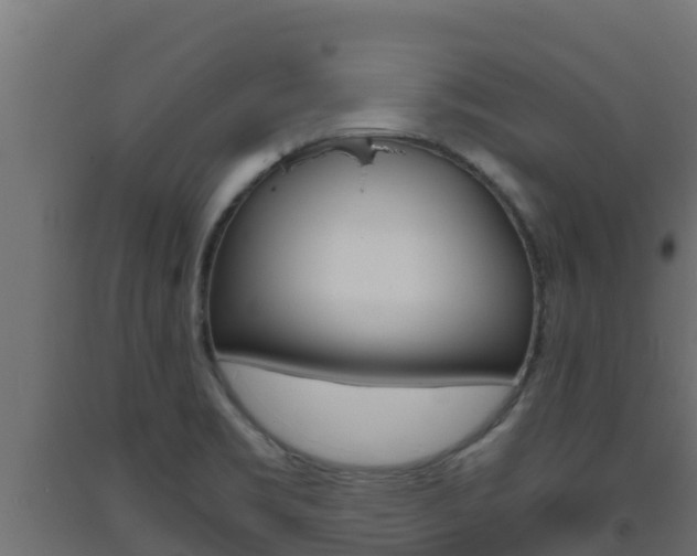 X0000093731469200710160802