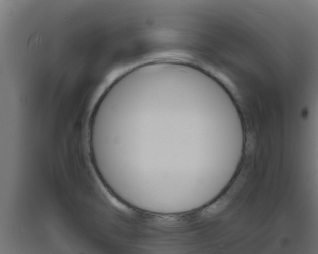 X0000093731470200710160802