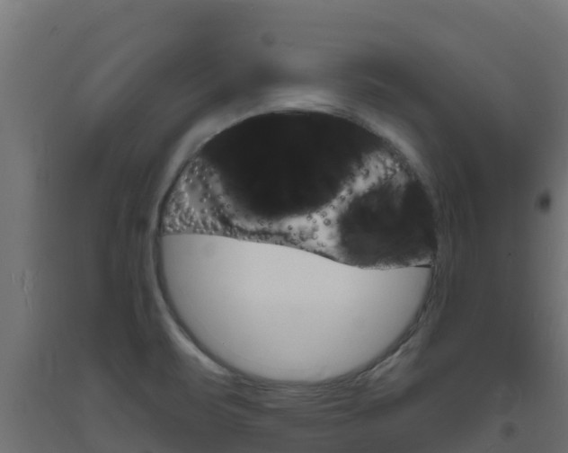 X0000093731471200710160802