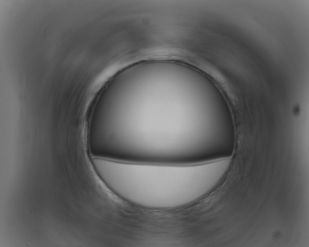 X0000093731472200710160802