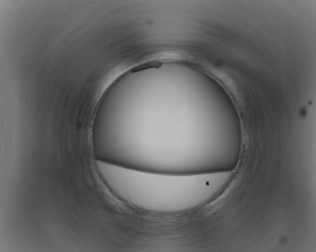 X0000093731473200710160802