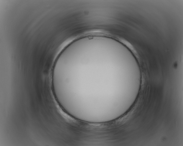 X0000093731474200710160802