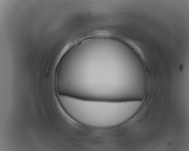 X0000093731475200710160802