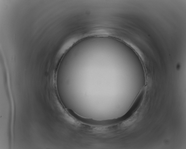 X0000093731477200710160802