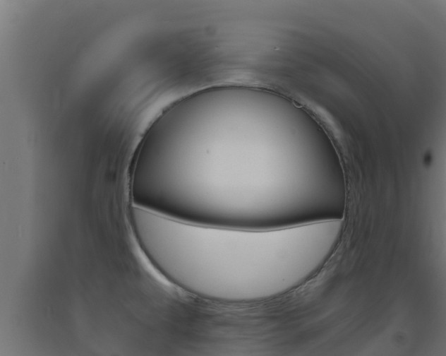 X0000093731479200710160802