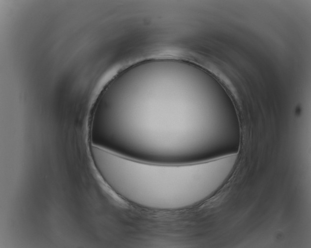 X0000093731480200710160802