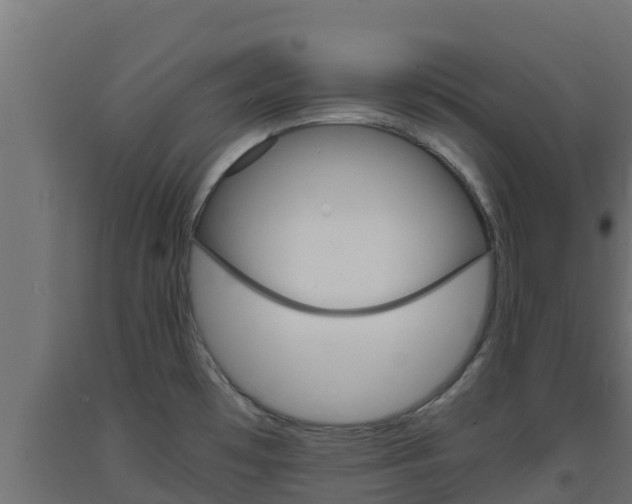 X0000093731481200710160802