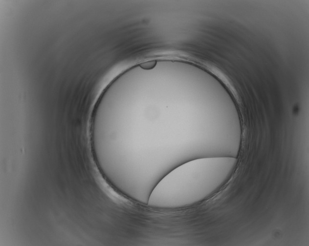 X0000093731482200710160802