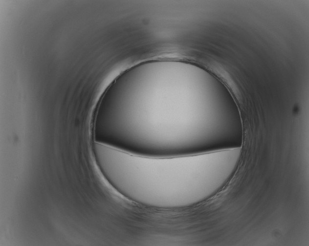 X0000093731483200710160802
