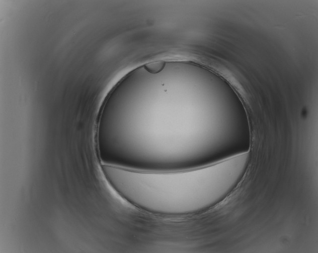 X0000093731484200710160802