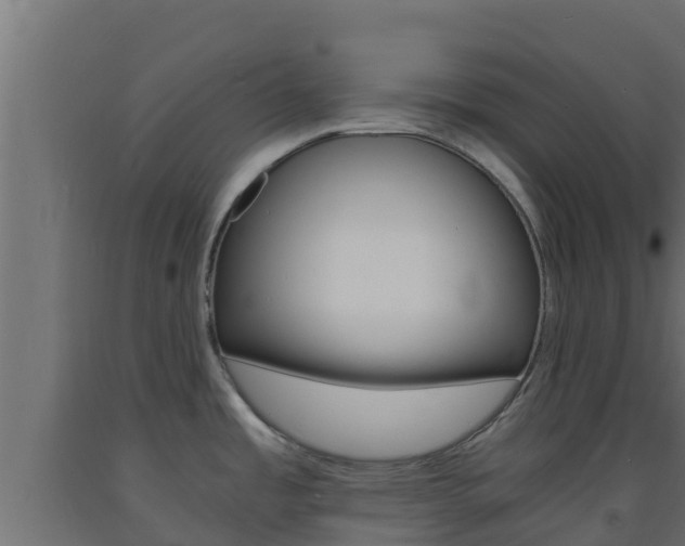 X0000093731485200710160802