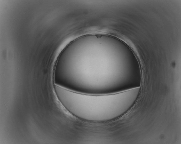 X0000093731488200710160802